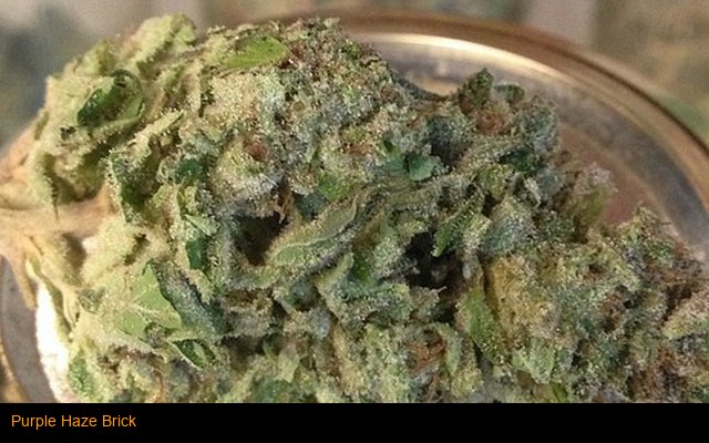 Purple Haze Brick