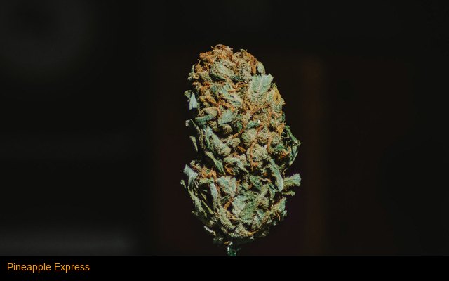 Pineapple Express