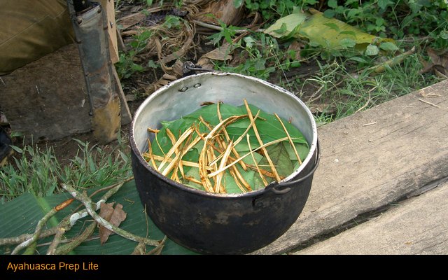 Ayahuasca Prep Lite