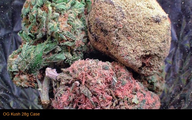 OG Kush 28g Case
