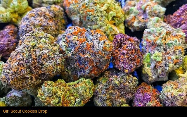 Girl Scout Cookies Drop