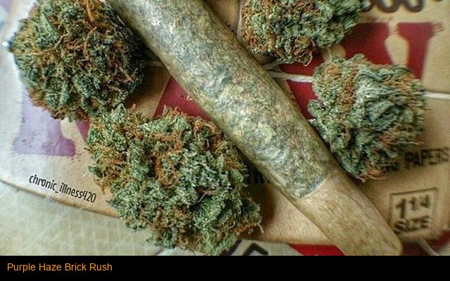 Purple Haze Brick Rush
