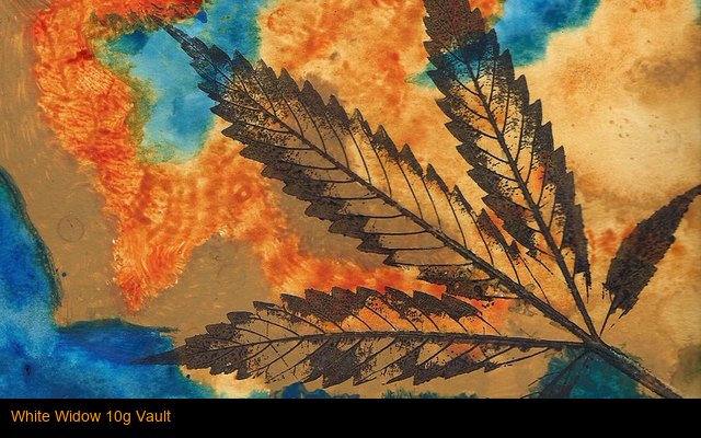White Widow 10g Vault