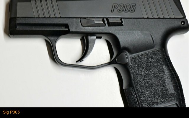 Sig P365