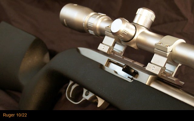 Ruger 10/22