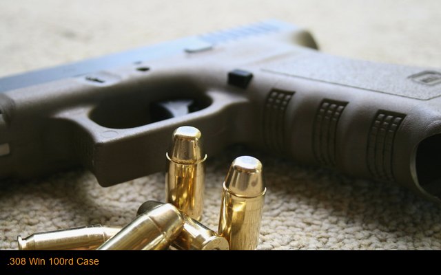 .308 Win 100rd Case