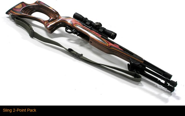 Sling 2-Point Pack